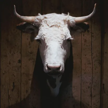 Snerting Ranch - Comfty And Modern Log House Villa